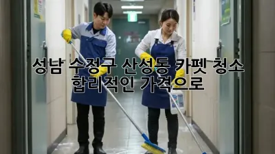 성남 수정구 산성동 카펫 청소, 합리적인 가격으로!