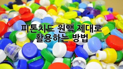 피톤치드 원액, 제대로 활용하는 방법