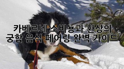 카베르네 소비뇽과 환상의 궁합!🍷 음식 페어링 완벽 가이드